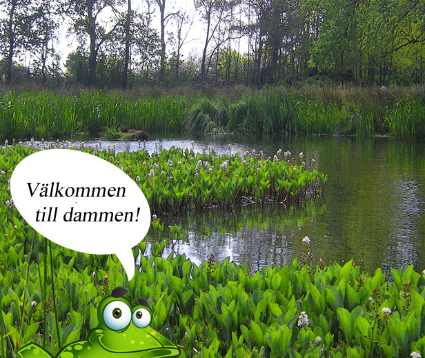 Samla droppar till en egen v&aring;tmark!
